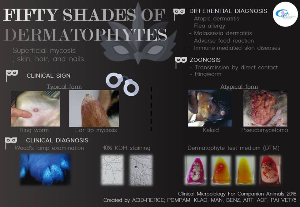 Fifty Shades of Dermatophytes