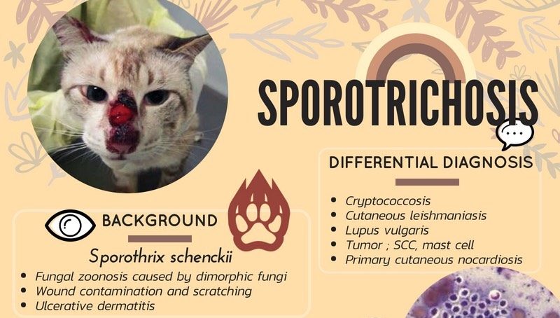 Sporotrichosis