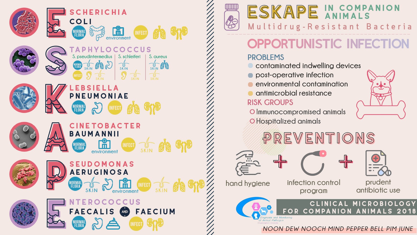 ESKAPE Multidrug-Resistant Bacteria